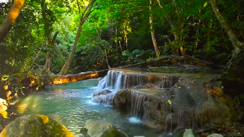 Waterfall - Waterfall and Birds to Meditate