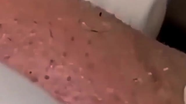 Gross but satisfying