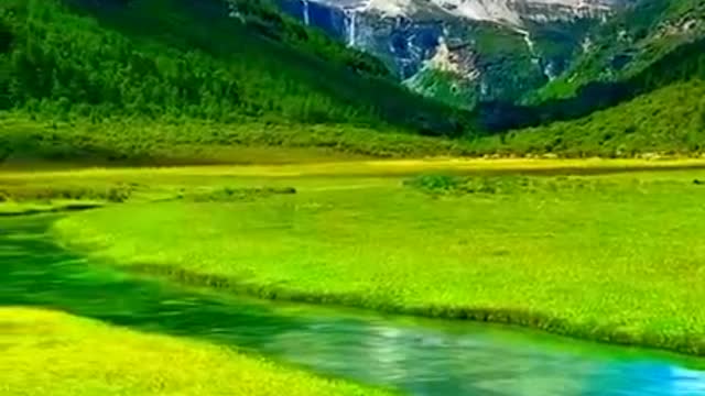 Beautiful Nature WhatsApp Status