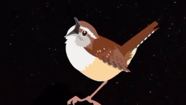 AMAZING BIRD SOUNDS #SHORT