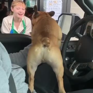 excuse me, can I please order a Puppaccino #frenchie