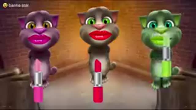 lipsticks_colour_funny_cat_comedy_lipstick_vid.mp4