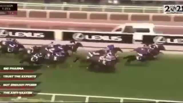 The 2021 Jab Cup Live from Melbourne Australia