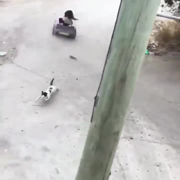 Drunk Driver Hit And Run