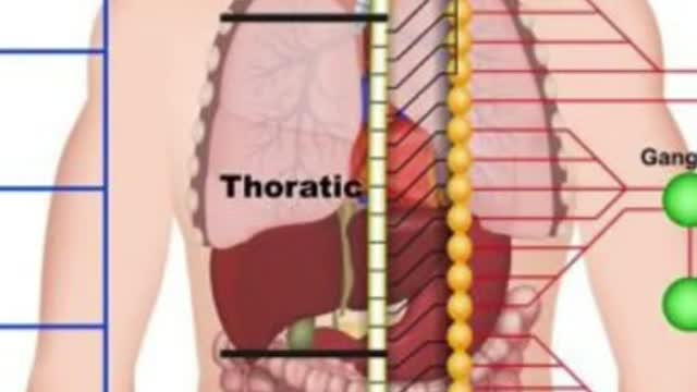 Human Anatomy & Physiology Course In 7 DAYS Or Less