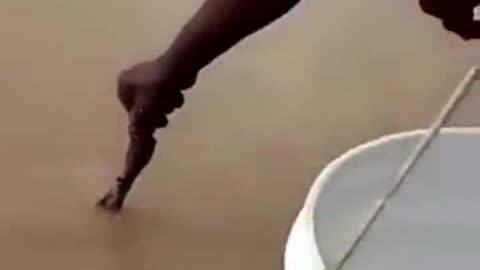 Fishing For Piranhas