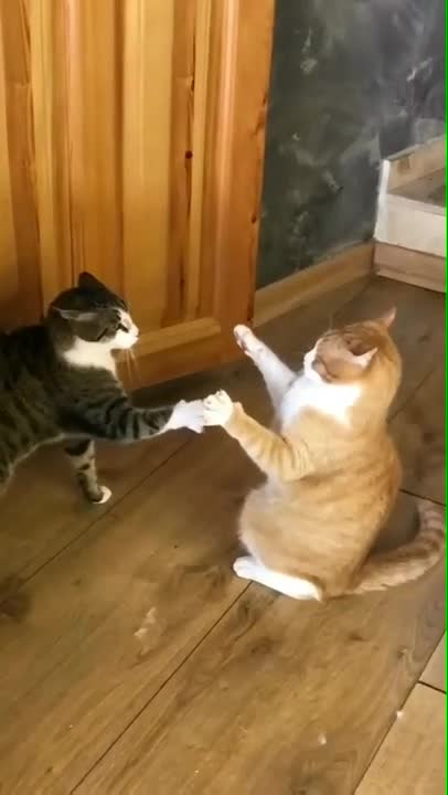 I Barely Even Touched You