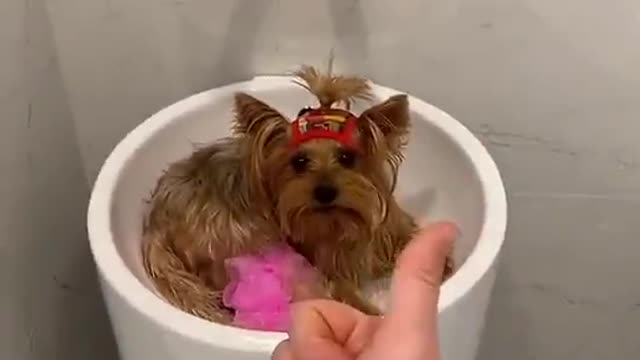 You cannot take a bath in the bathtub 😂😂😂