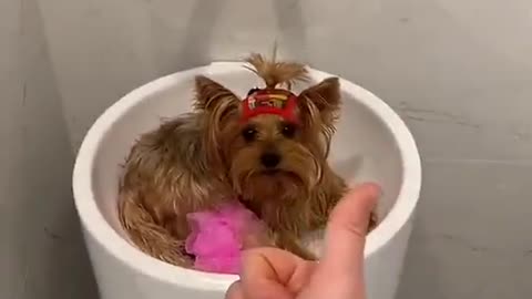 You cannot take a bath in the bathtub 😂😂😂