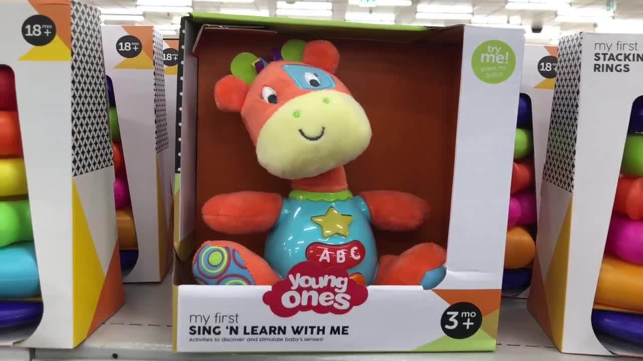 Sing and Learn Toy