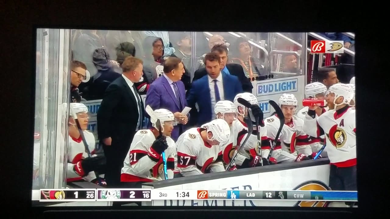 OTT vs ANA - Ducks Win 2-1