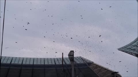 RAMMSTEIN - PUPPE - BERLIN, Olympiastadion, 05 06 2022 - RAMMSTEIN Stadium Tour 2022