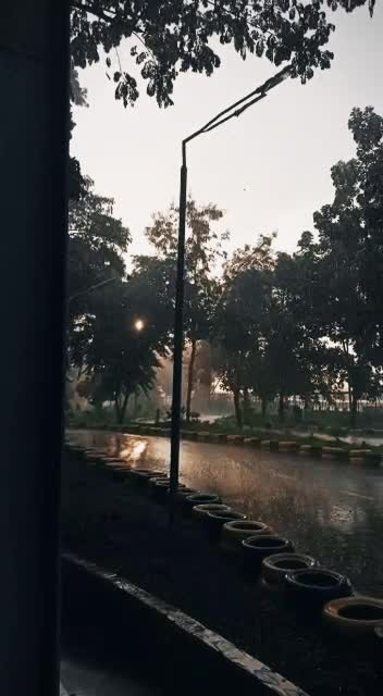 Sun rain