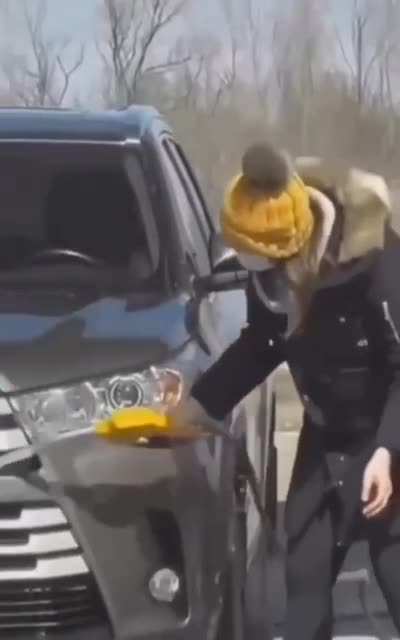 S0ME LIBERALS WASH THEIR CARS LIKE THIS!