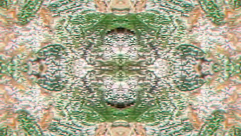 Spiral