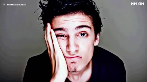 Хомеостаза