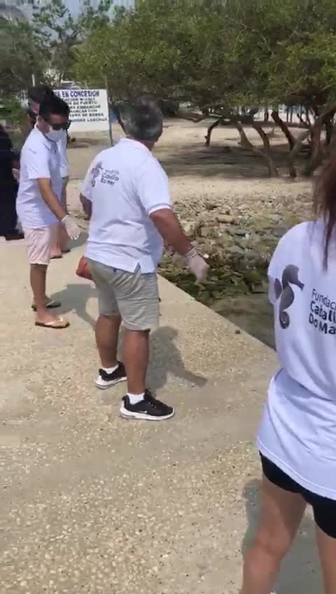 Entregan mercados en Punta Arena