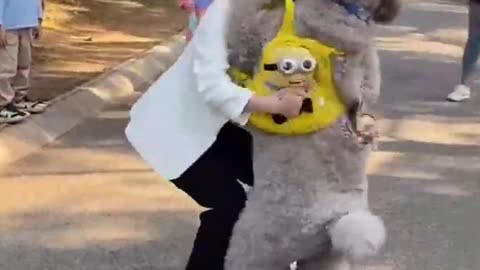 Funny and Cute Dog Video Compilation