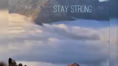Stay Strong