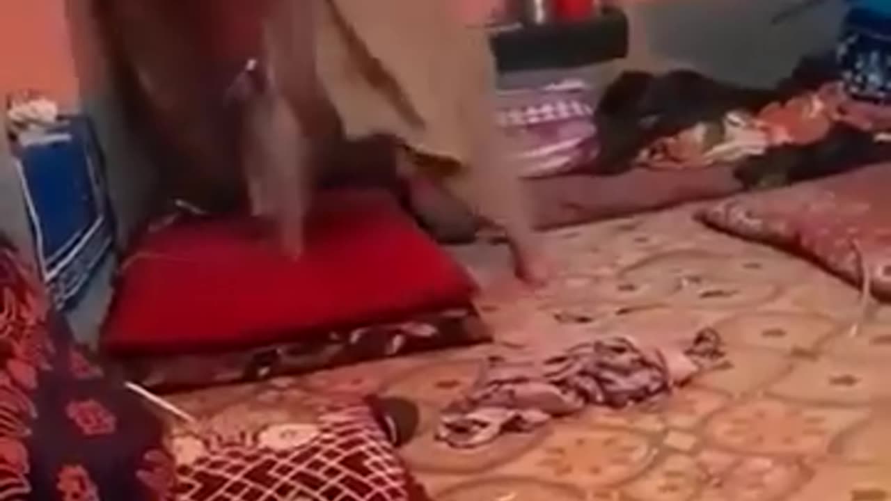 یہ کونسا دین پڑھا رہا ہے جاہل مولوی۔۔۔اس کو زیادہ سے زیادہ شیئر کرو جیسے یہ مولوی پکڑا جائے