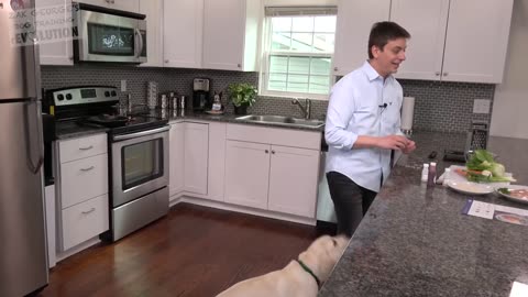 How to Train your Dog to Listen to you in Real Life!
