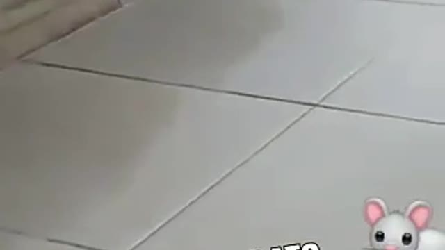 007 running away