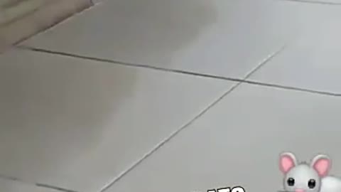 007 running away