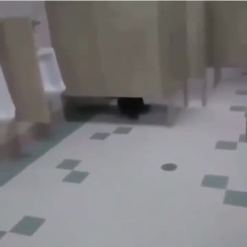 Guy Fucking Dies by Shit