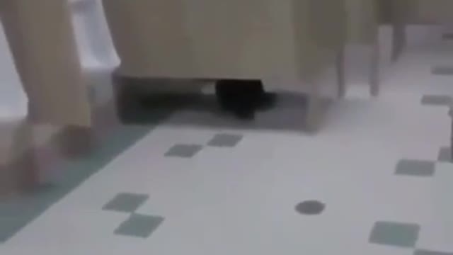 Guy Fucking Dies by Shit