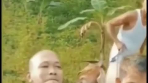 Man grooms “goat’s” beard—turns out it’s his friend’s! 😂🐐 Hilarious prank! #ComedyGold