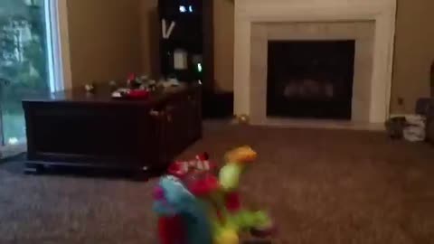 funny baby