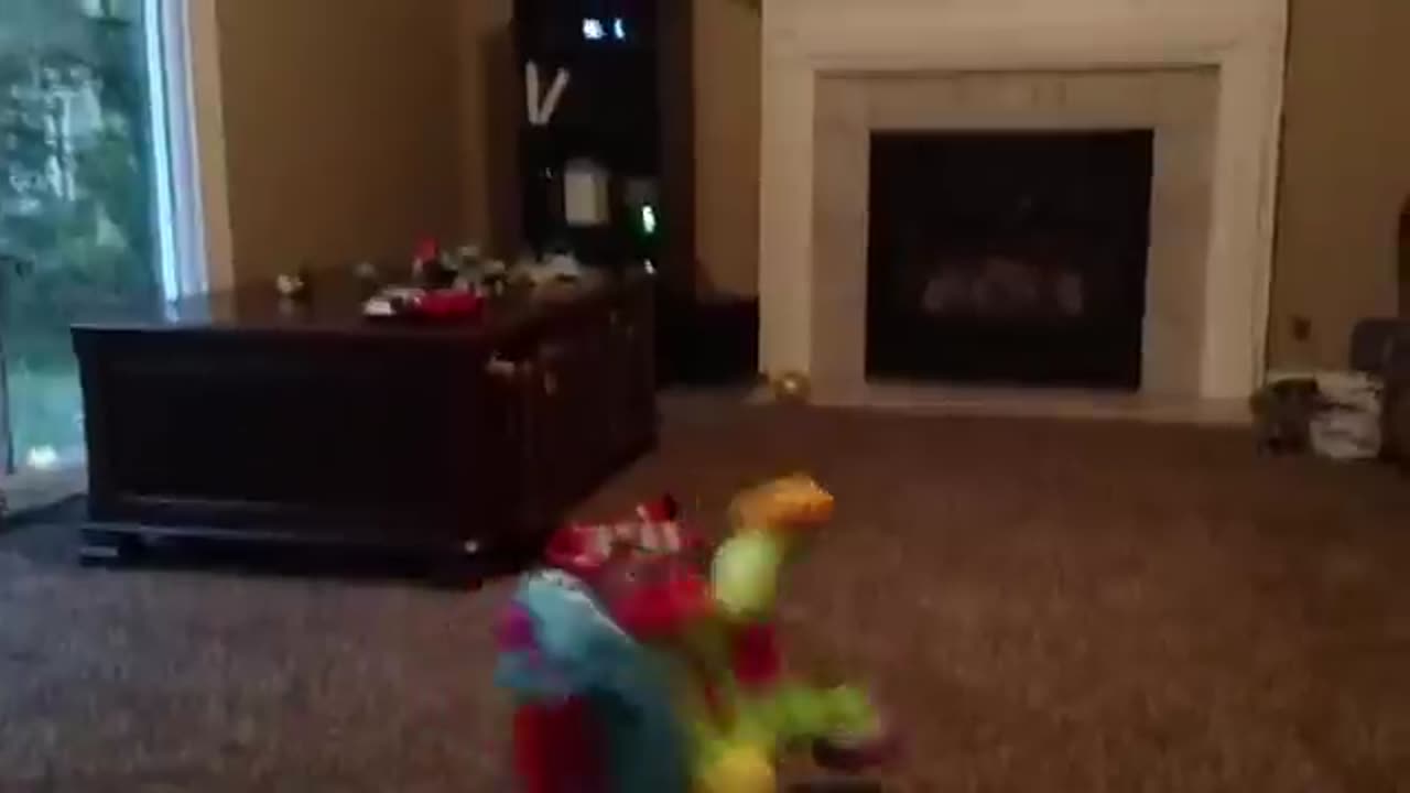 funny baby