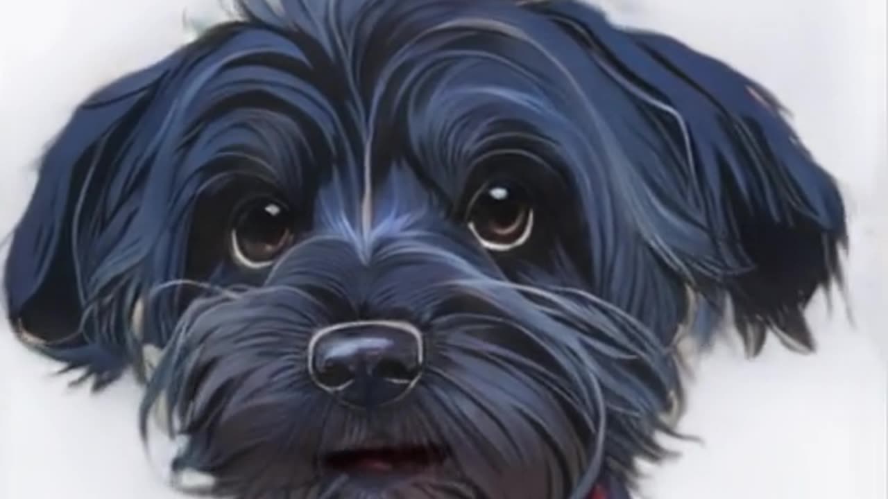 Billy Madison-inspired pup Turbo give a master class in monologues