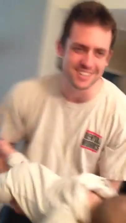 Malamute de Alaska se pone celoso por el juego de un papá y su bebé