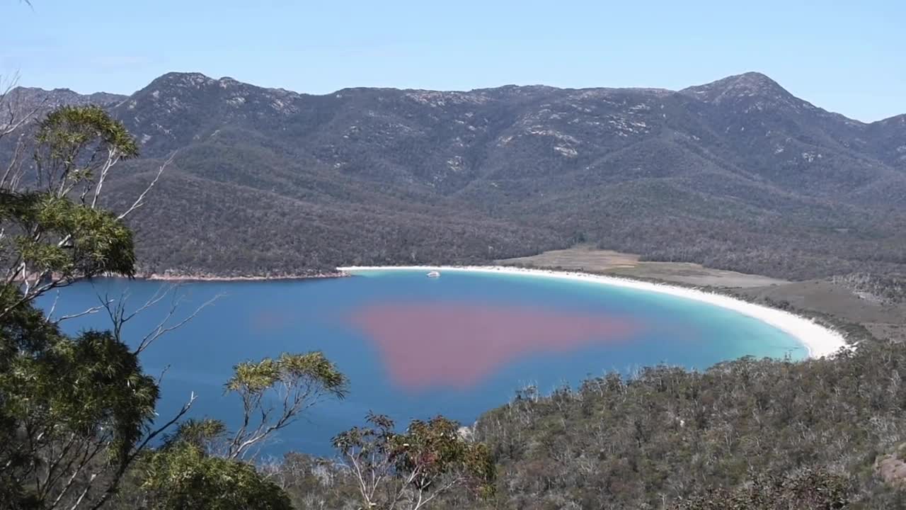 Tasmania #Travelogue Tasmania: A Nature Lover's Dream | SmarterTravel