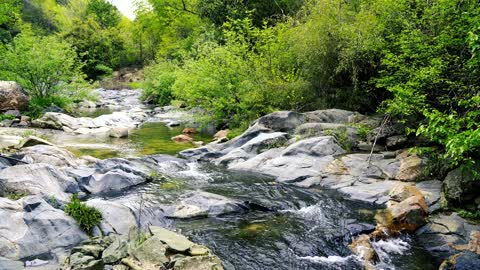 A crystal clear stream with beautiful music flowing