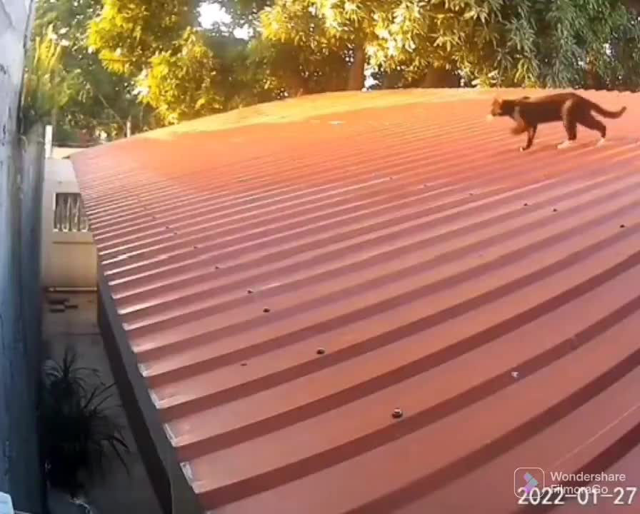 What a move!