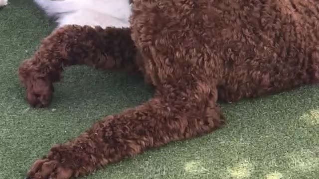 2021 Kennon Anniversary 14