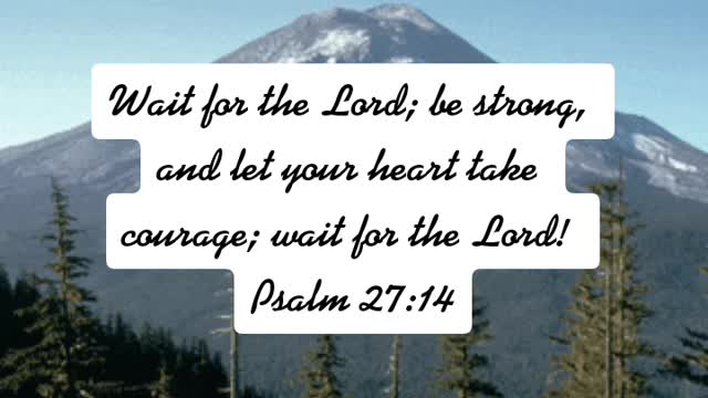 Wait for the Lord