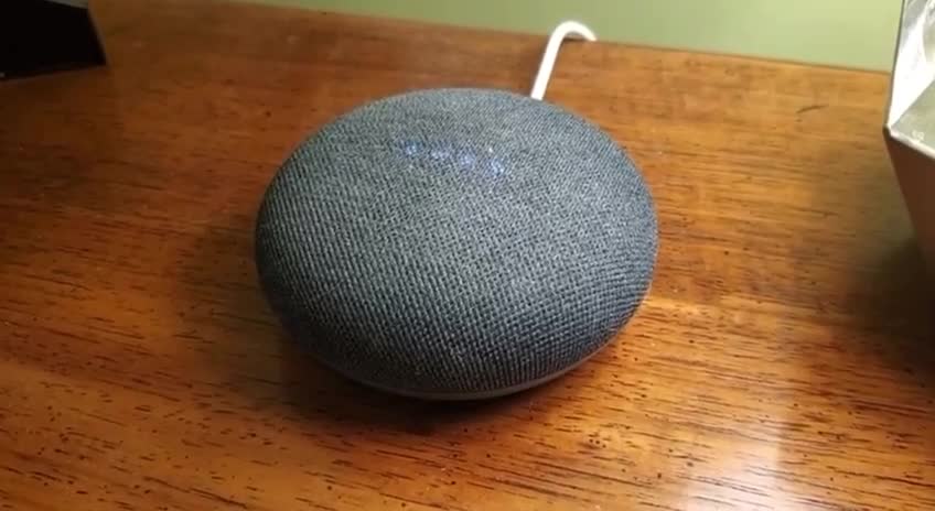 This is crazy. Google Assistant has literally erased the 45th President Trump.