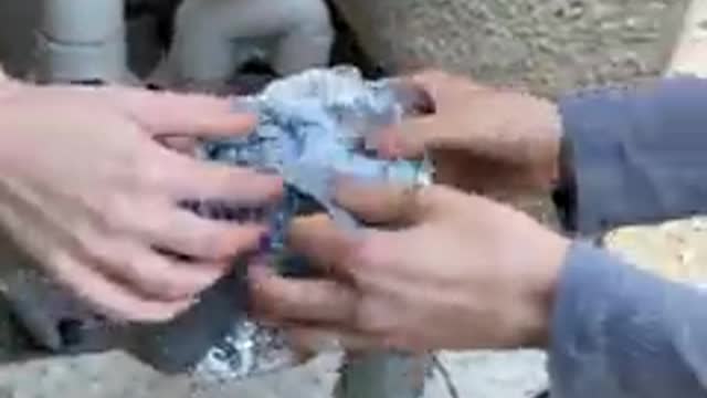 What was inside the package she found…