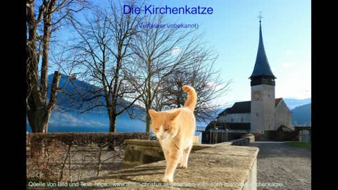 Die Kirchenkatze