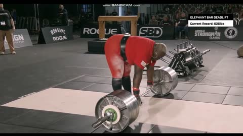 Women deadlift record Tamara Walcott 641 lbs #shorts