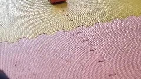 Playing with cars