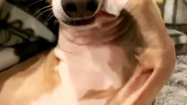 Funny mind fresh videos