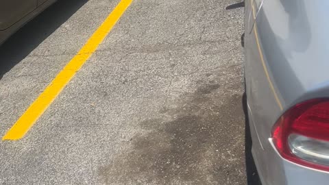 Car Parked Way Too Close