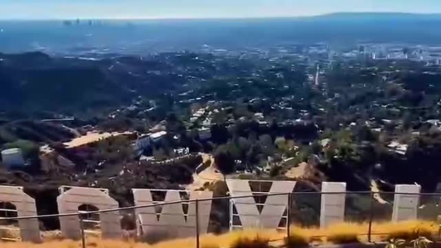 Bustling city