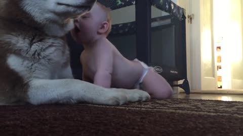 Baby and dog show love for one another