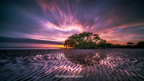 RELAXING MUSIC 3334 HRTZ