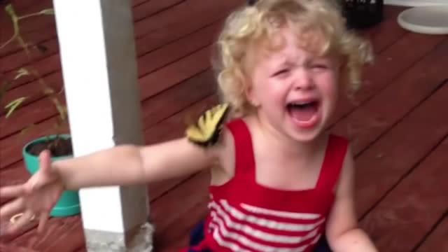 The cutest compilation of children and animals 2